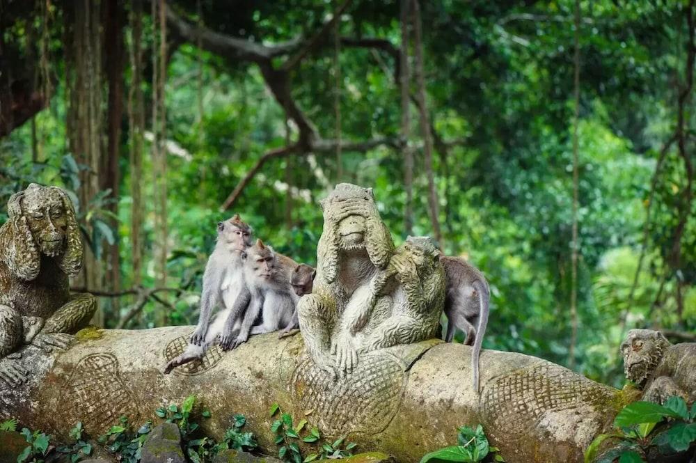 Puri Padi Ubud