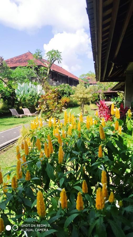 Gasthof Puri Padi Ubud