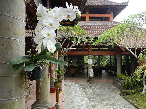 Puri Padi Ubud