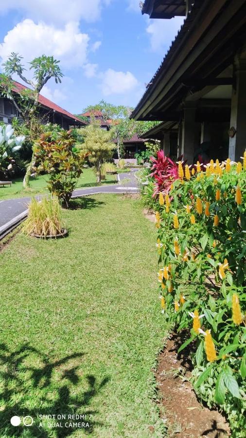 Puri Padi Guest house Ubud (Bali)